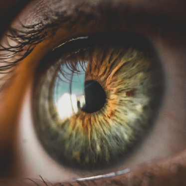 focus
